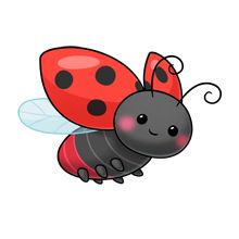 Cartoon animal clipart ladybug