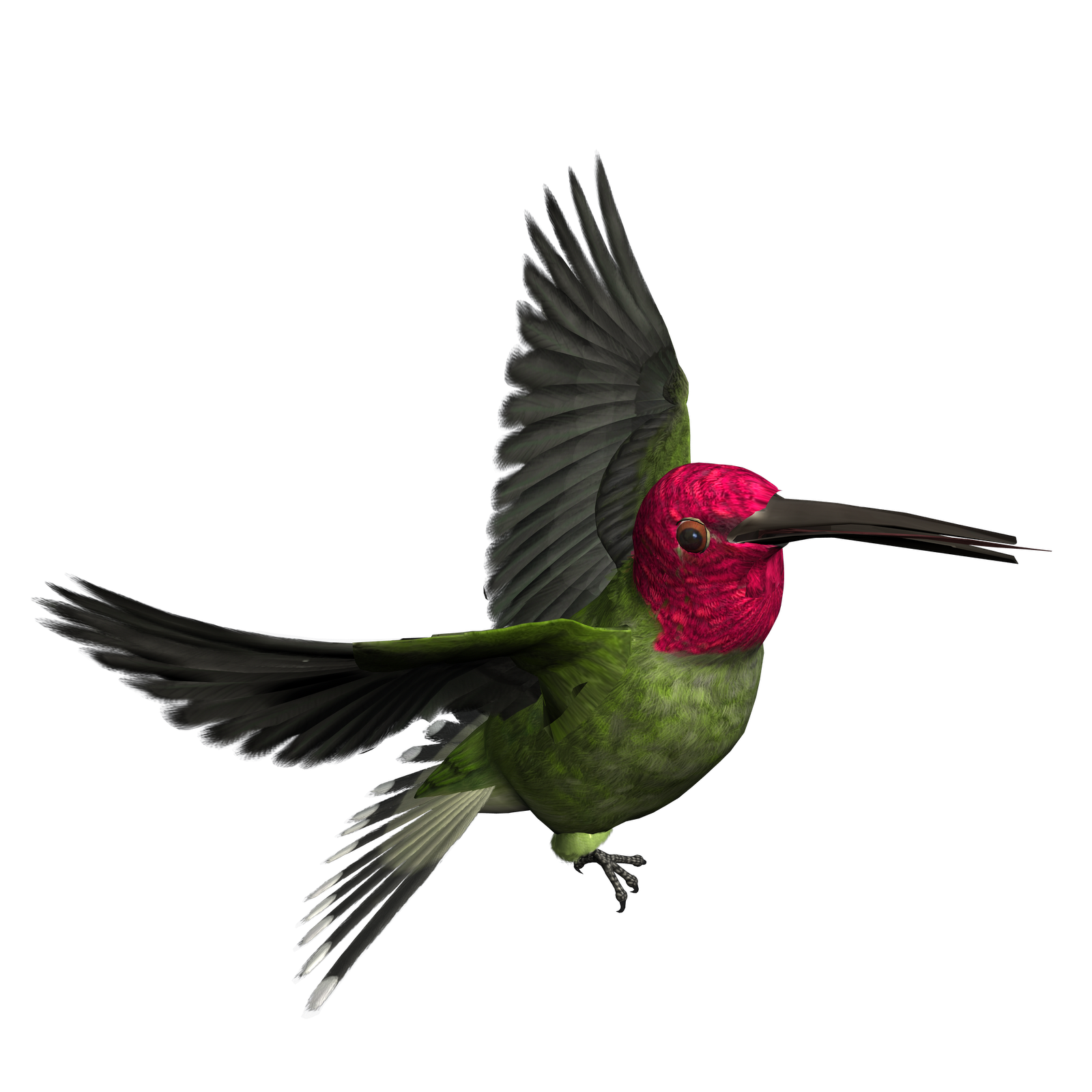 Free High Resolution graphics and clip art: bird png graphics ...