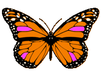 Animation Bundle: Butterfly Animation Butterfly Gif Butterfly ...