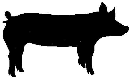 Show Pig Clipart