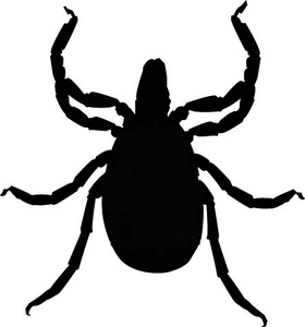 Tick bug clipart