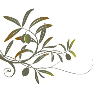 Texas olive industry branches out to meet growing demand - Olives101.