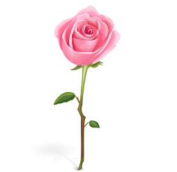 Pink roses desktop clipart - ClipartFox