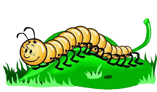 Centipede Graphics and Animated Gifs