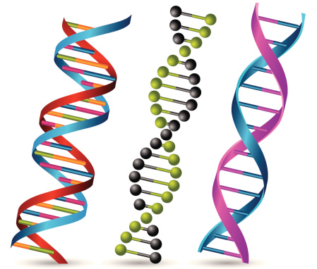 Dna Clip Art, Vector Images & Illustrations