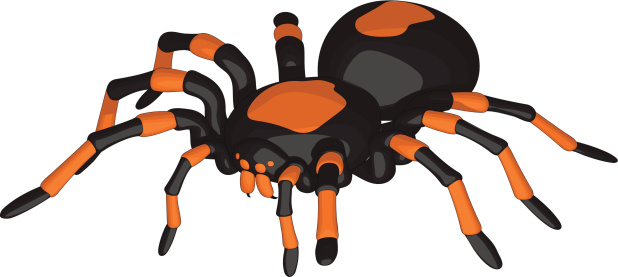 Tarantula Clip Art, Vector Images & Illustrations