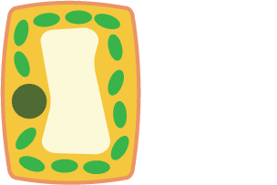 BBC Bitesize - GCSE Biology - Movement across cell membranes ...