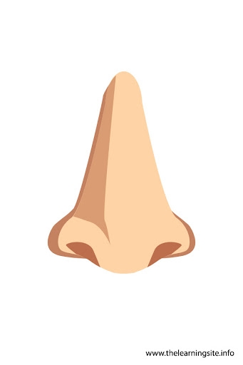Nose clipart clipartfest - Clipartix