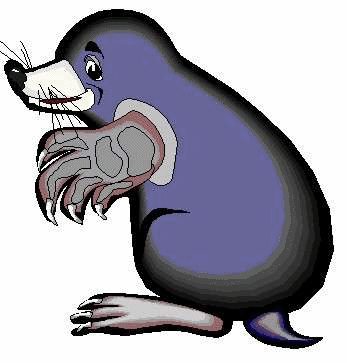 Moles Graphics and Animated Gifs