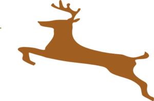olain-deer-md.png