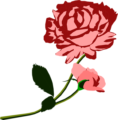 Free Stock Photos | Illustration Of A Red Rose | # 8662 ...