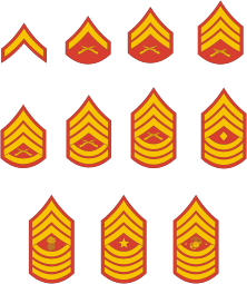 U.S. Army, enlisted rank insignia - vector image