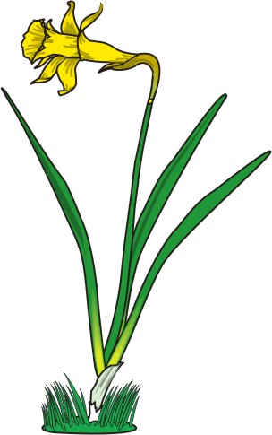 Cartoon Flowers | Page 6