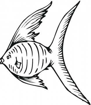 Fish in Seaweed coloring page | Super Coloring