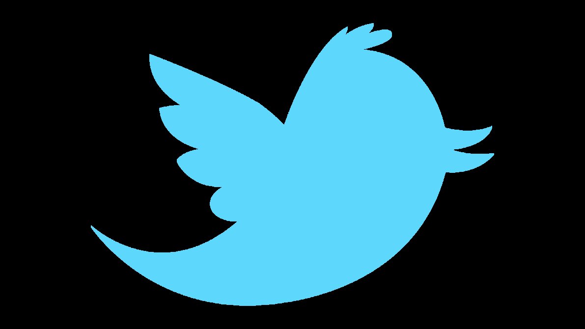 new twitter bird vector