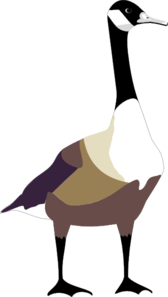 goose-md.png