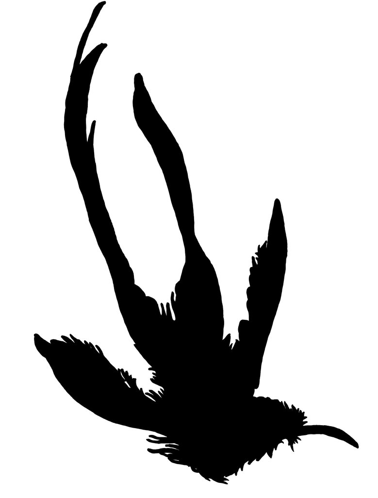 Hummingbird silhouette