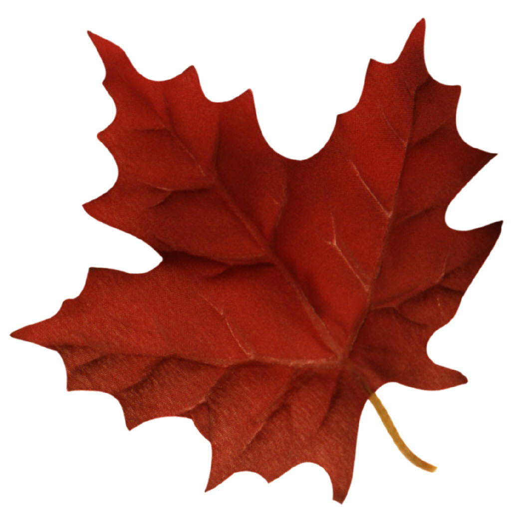 Canadian Maple Leaf Logo