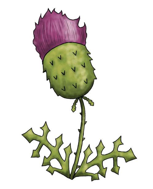 Free Thistle Clip Art