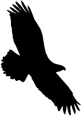 Golden eagle clip art free vector in open office drawing svg ...