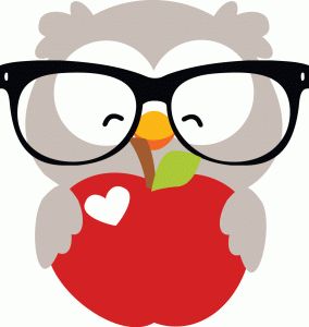1000+ images about Owls