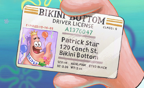 Obtaining a Driver License