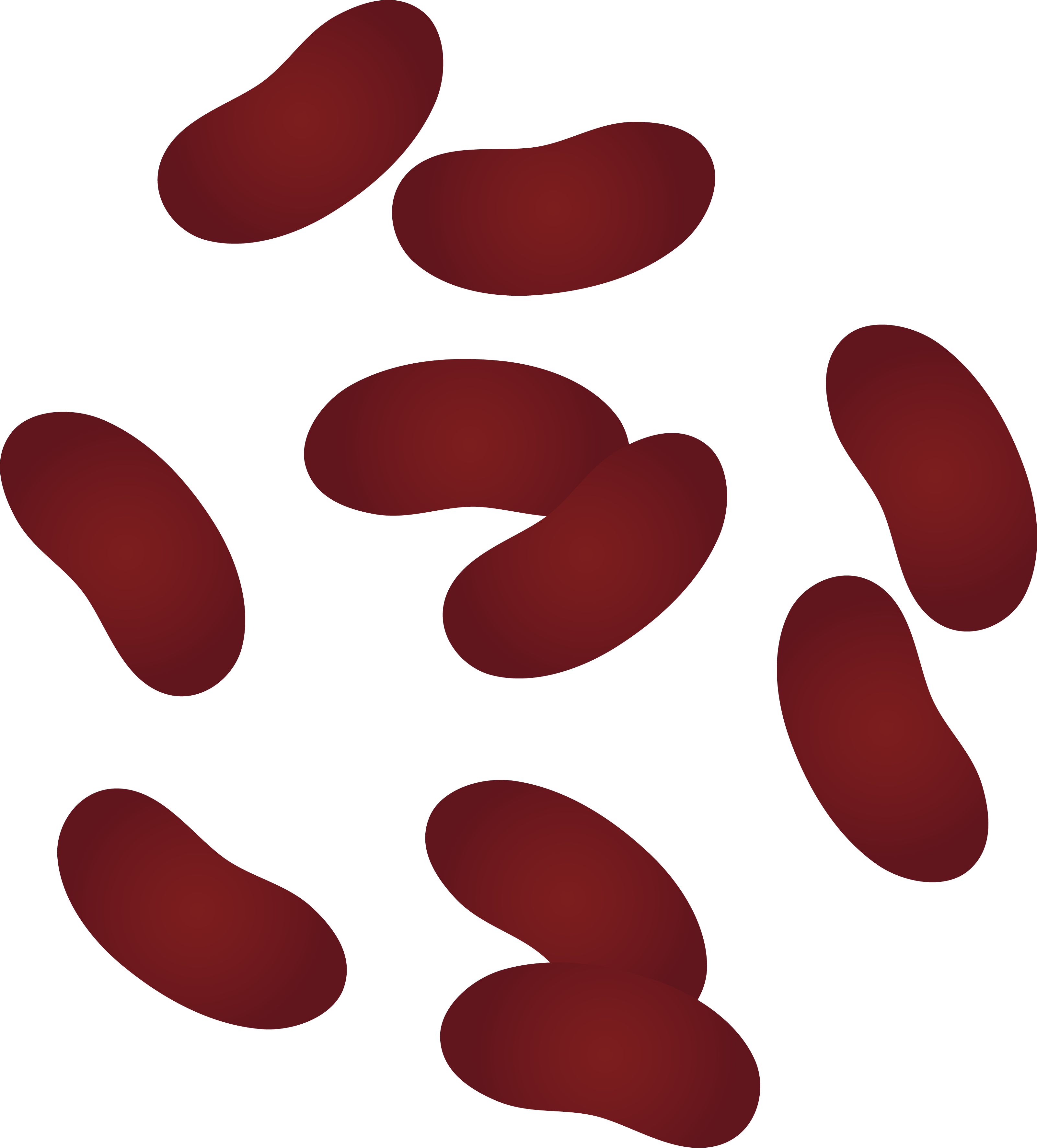 Bean Clip Art
