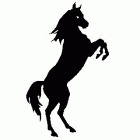 Black Horse Extra