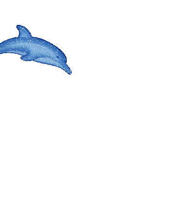 Free Download Dolphin Gif Animation: Pictures Of Animated Dolphins ...
