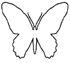 Kids Room | Decals, Butterfly Wall and Tree Drawings