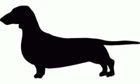 Roots Clipart