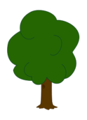 oak_thumb