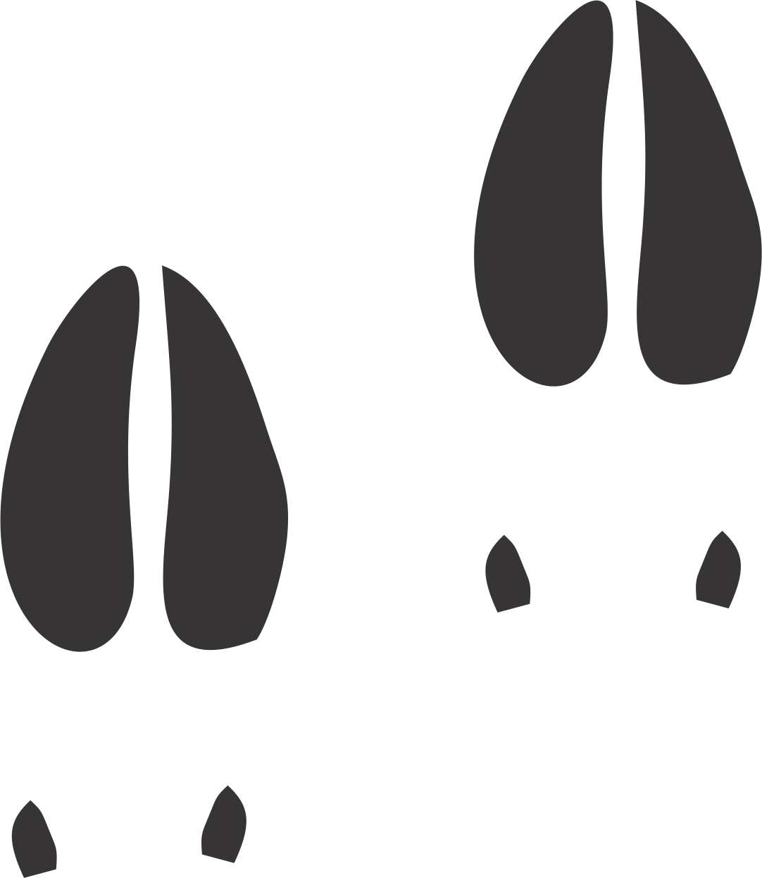 Wild Life | boat-