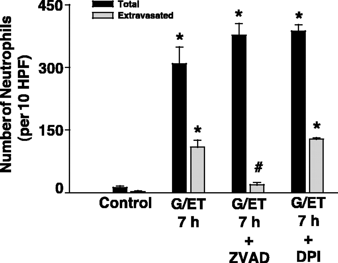 NADPH oxidase-derived oxidant stress is critical for neutrophil ...