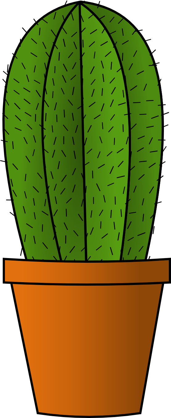 Xe Xochi Cactus 1 xochi.info twee Flowers xochi.