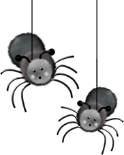 spider animations