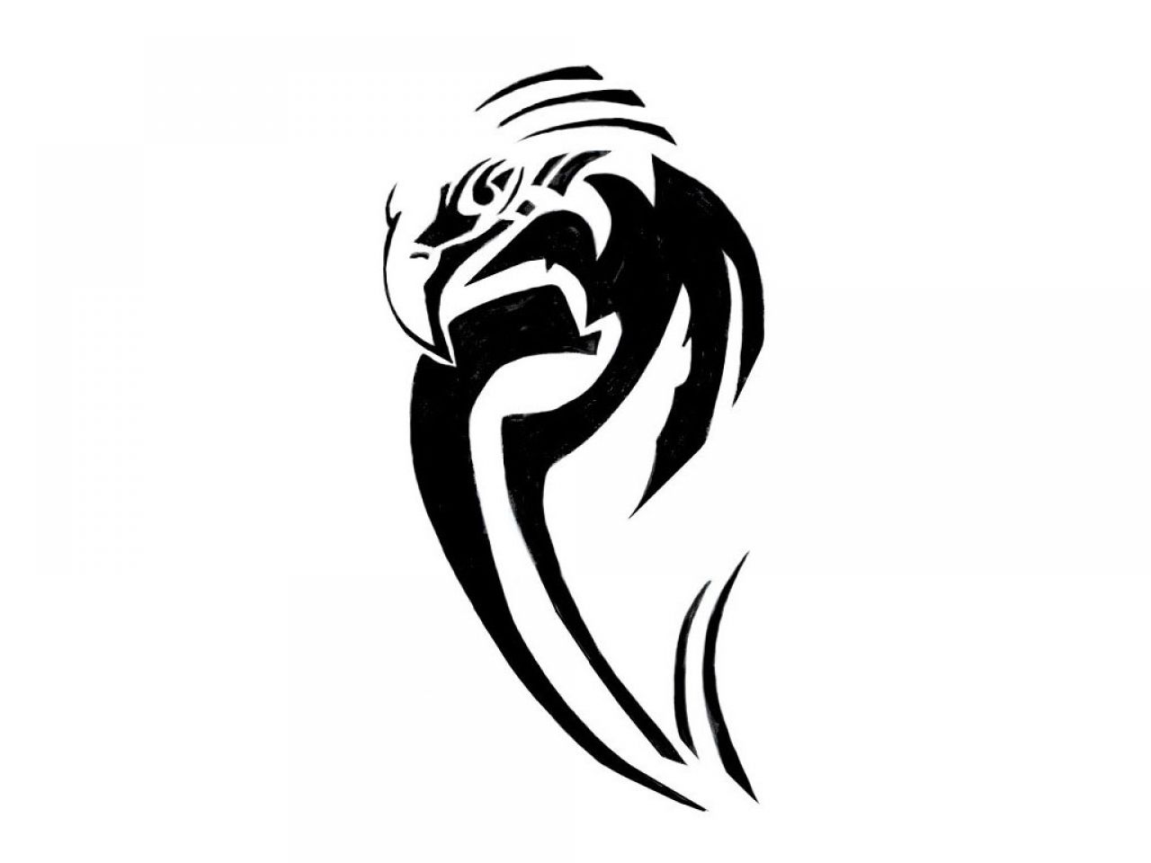 Tribal Eagle Tattoos Designs - Great Tattoo Design