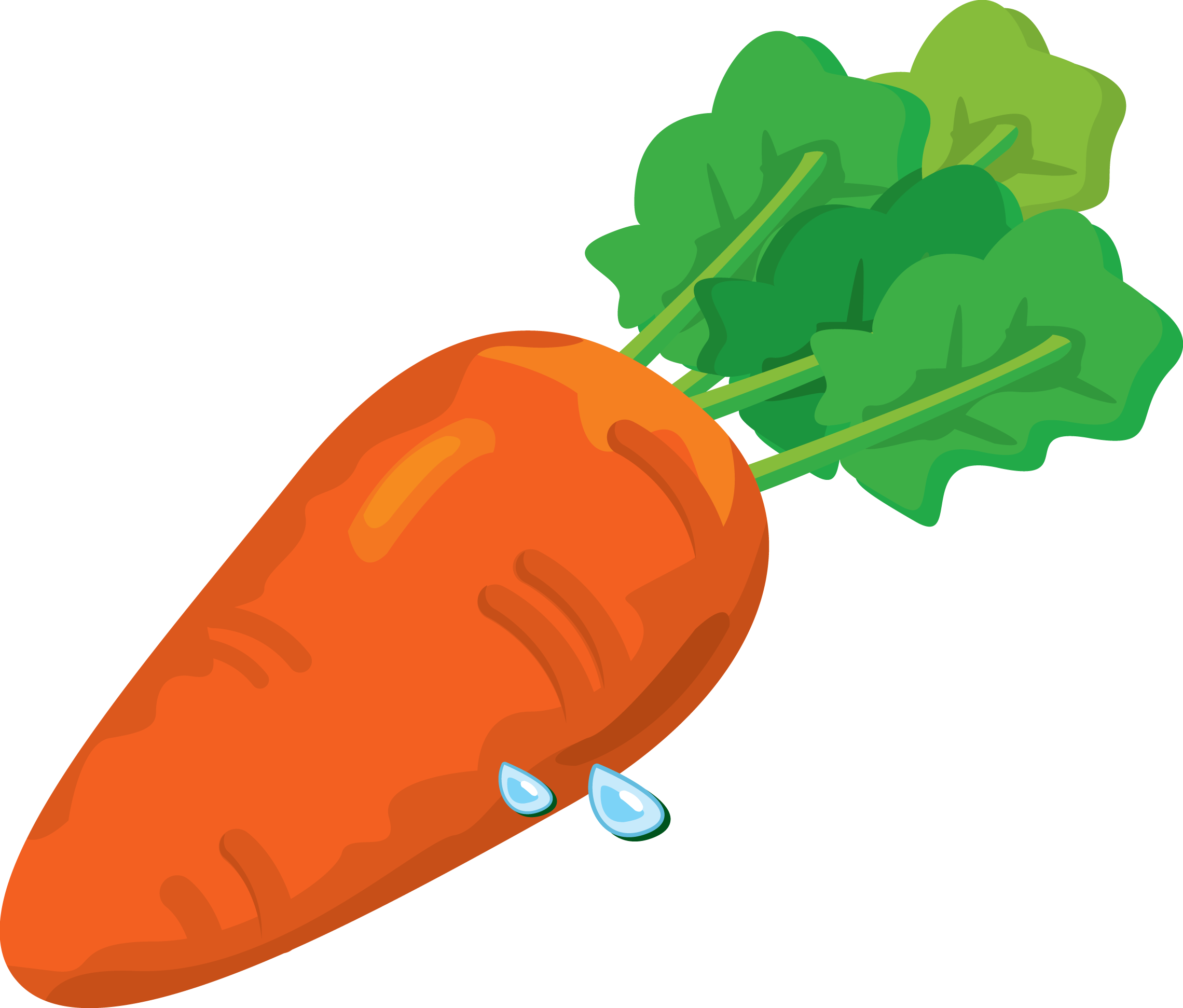 Carrot PNG image free download