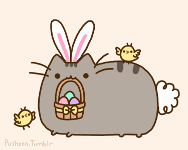 Cat GIF - Find & Share on GIPHY