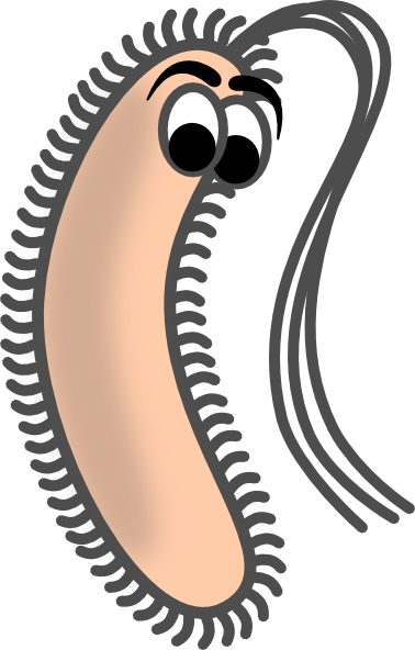 Funny Bacteria Clip art - Art - Download vector clip art online