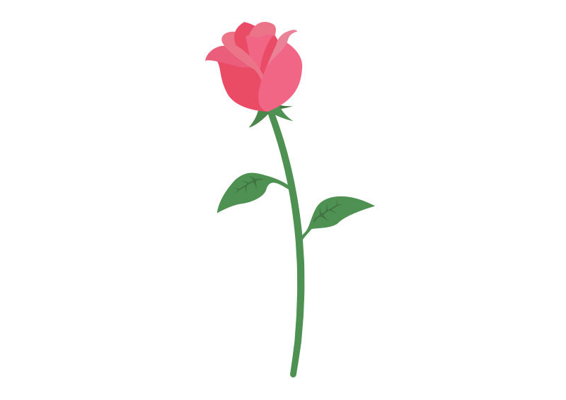 Flat Rose Vector Illustration - Download free vector