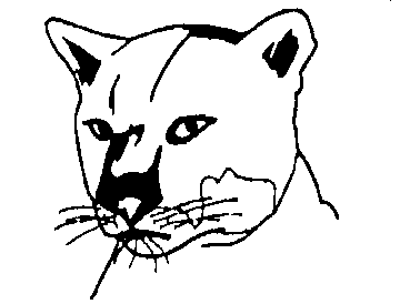 Mountain Lion Clip Art