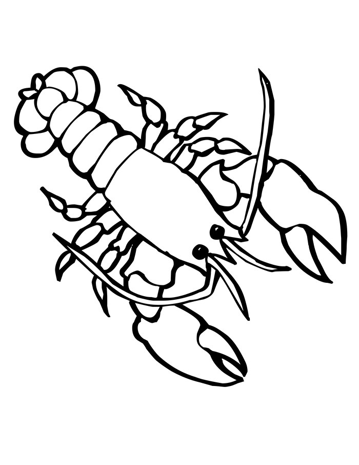 65+ Sea Creature Templates - Printable Crafts & Colouring Pages ...