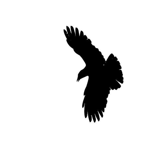 Flying Raven Silhouette - ClipArt Best