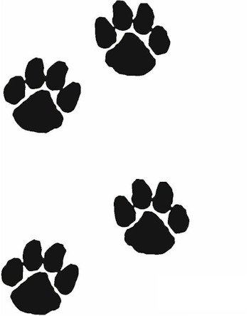Pin Paw Prints Signs