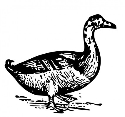 duck_116103.jpg