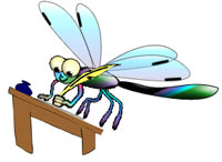 2010 - My Maldives Mentoring Adventure: George's excellent lesson ...