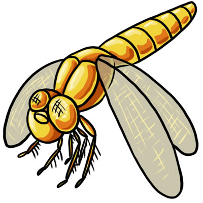 FREE Dragonfly Clip Art 17