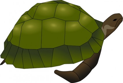 Turtle clip art Free vector in Open office drawing svg ( .svg ...