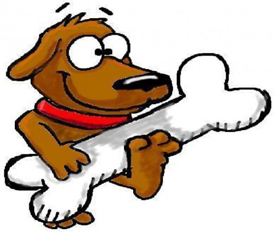 Essential Nuggets in Choosing Dog's Chew Bone
